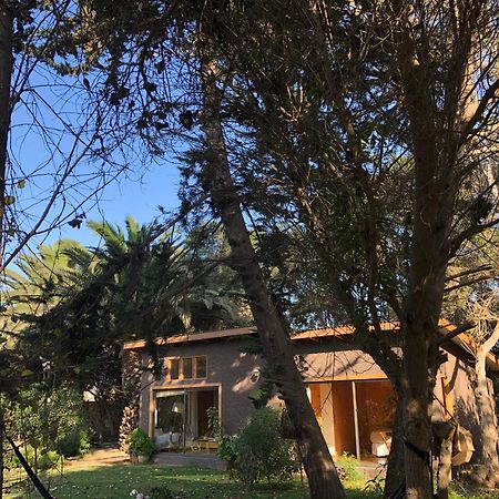 Cabanas En La Naturaleza A Pasos De La Playa Ла-Серена Номер фото